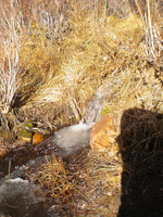 DSCN9482.JPG